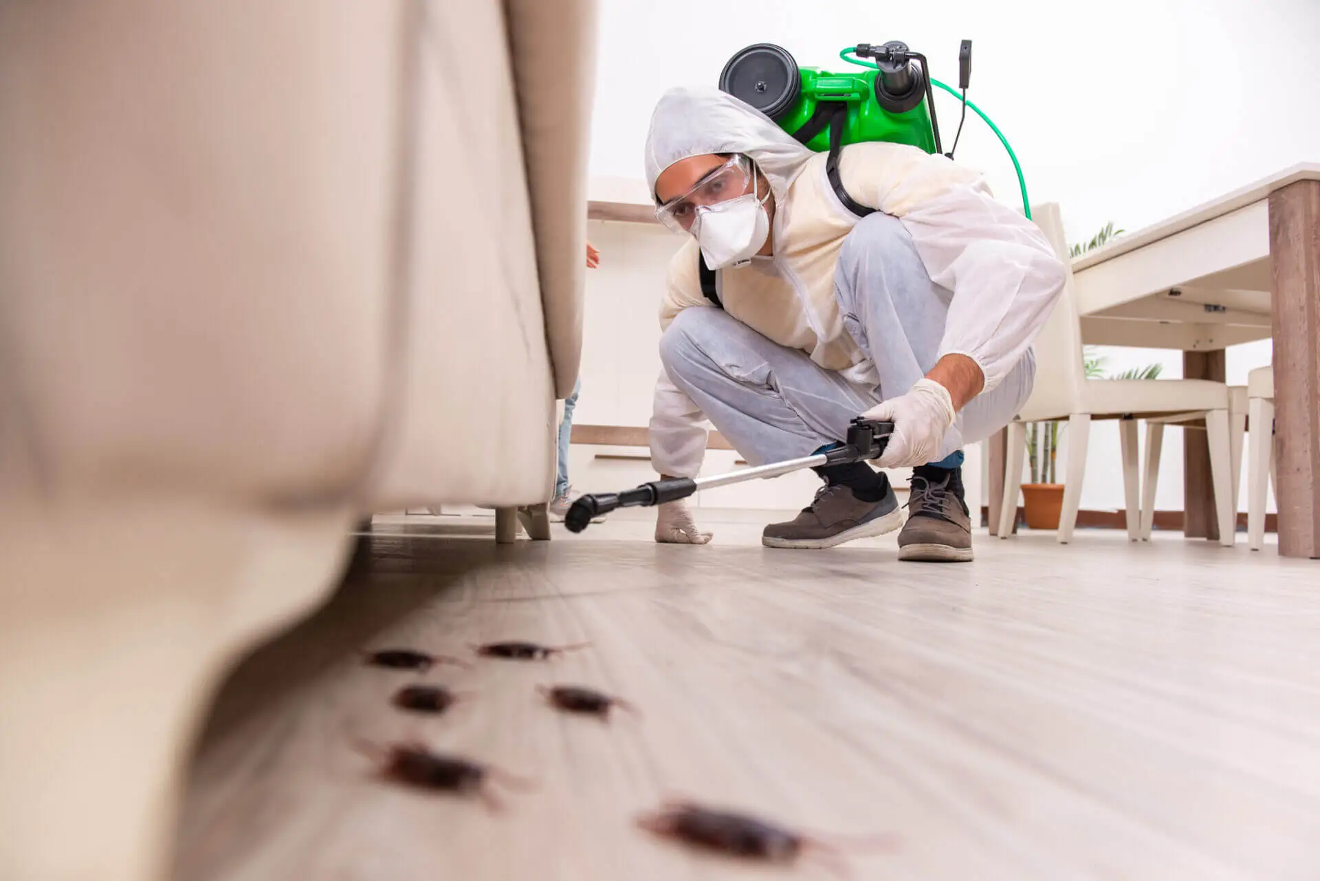 Técnico realizando una inspección profesional en una vivienda